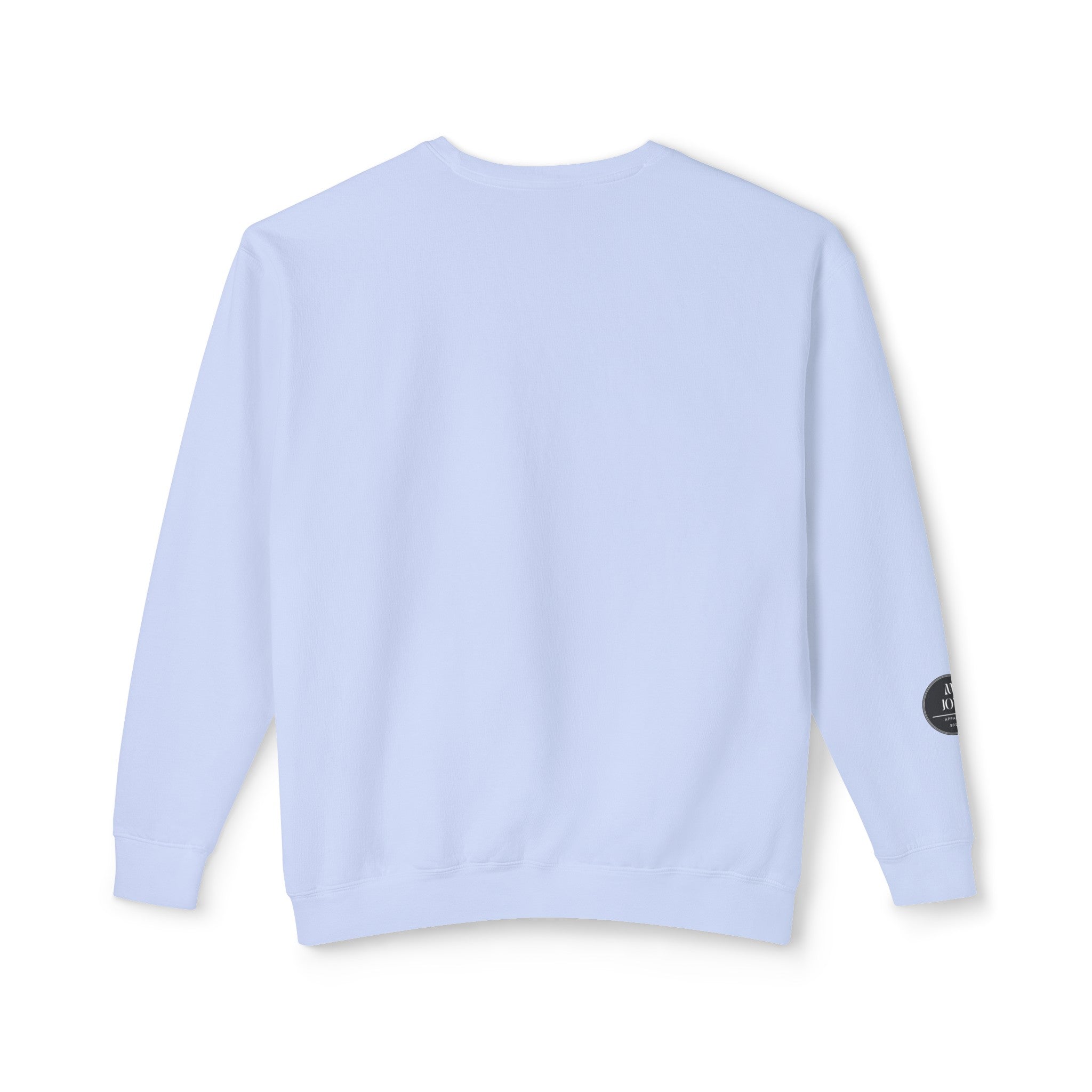 Baby blue crewneck sweatshirt online